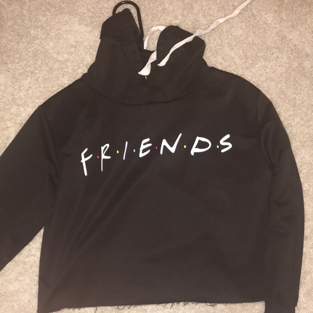 pacsun friends cropped hoodie